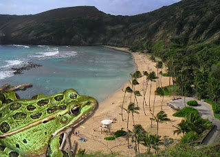 giant frog on the beach in Maui