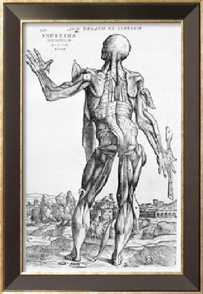 [vesalio.bmp]