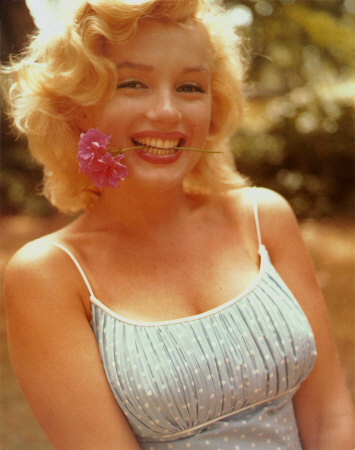  Barker Plastic Surgery on External Image Marilynmonroe12 Jpg