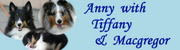 <a href="http://blog.shelties.jp/Tiffany_and_Mac/">Anny with Tiffany & Macgregor</a>