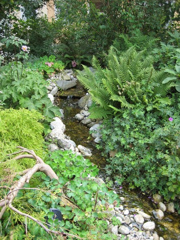 GartenImpressionen Hört Ihr das Bächlein plätschern?