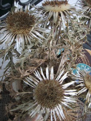 Garten Impressionen Der Steingarten Im September