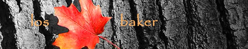 l o s  -  b a k e r