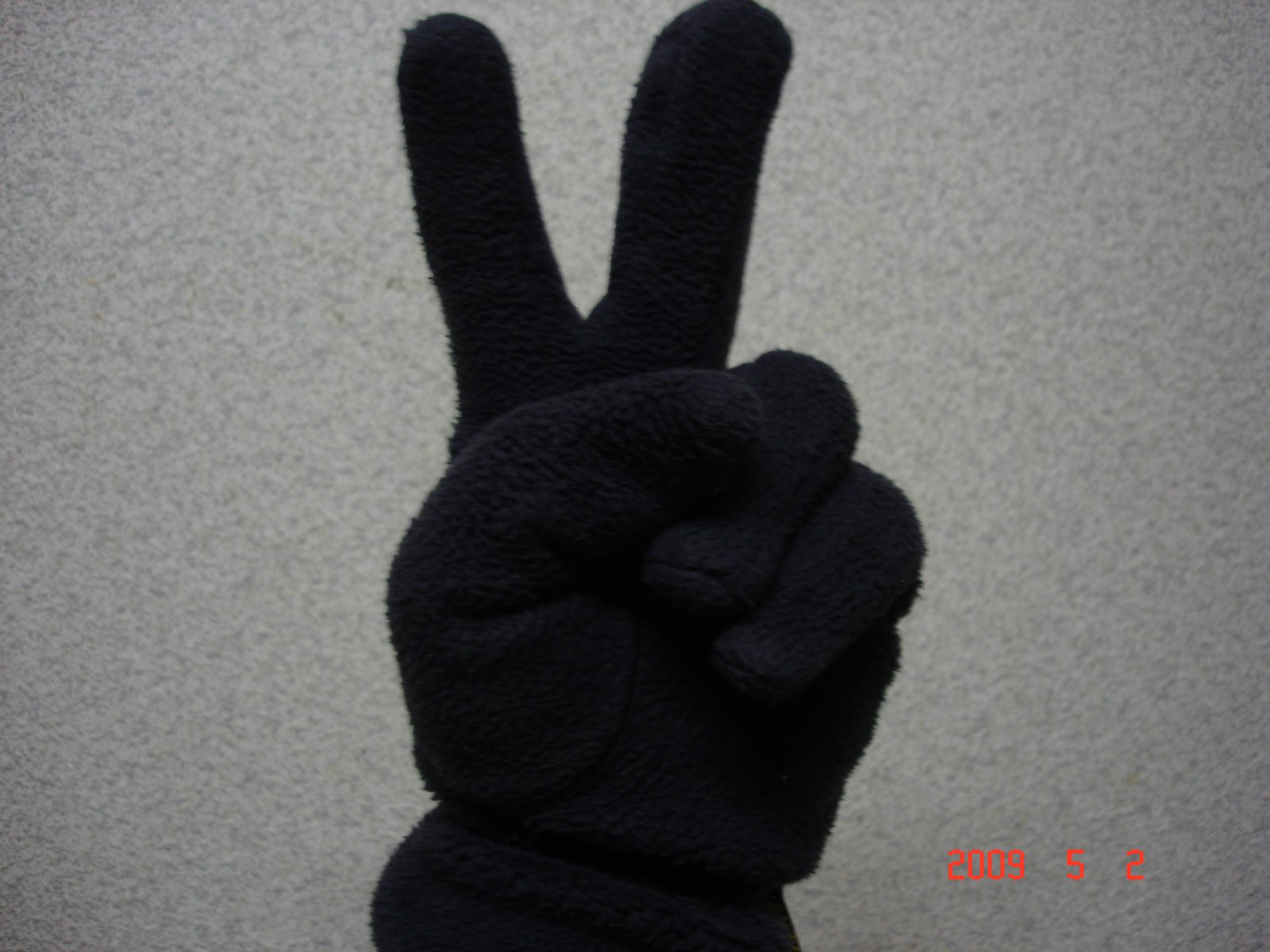 [DSC00886.JPG]