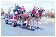 "King of the Meade County Fair"