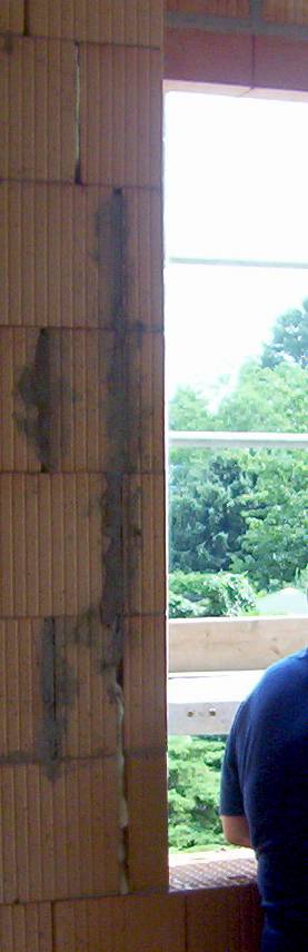 Goldfischli November 2010