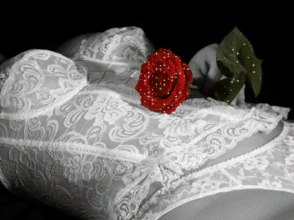 [16c62891201a9972669a77cag4.gif]