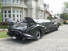 BACK OF THE "WINGED LIMO"