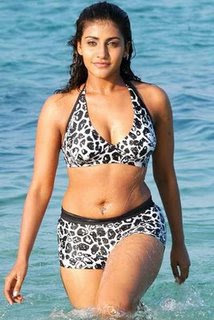 sexy actress kousha hot wallpapers movie clips