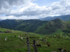 Ecuador