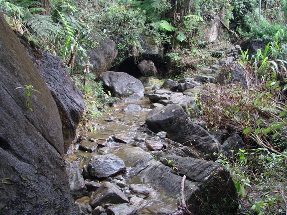 way to sri pada from Kuruvita