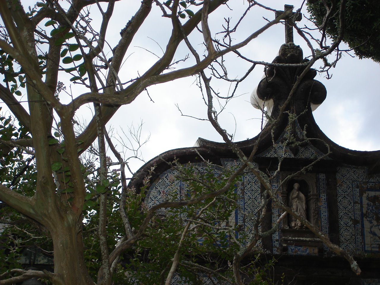 [DSC01001.JPG]