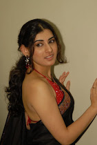 Archana or Veda