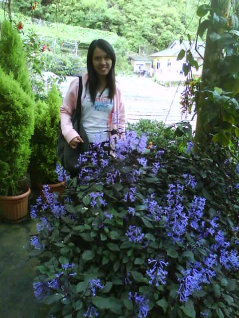 [DSC00864.JPG]