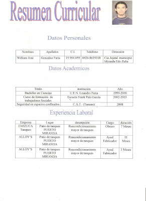 FORMATO RESUMEN CURRICULAR EJEMPLO formato resumen curricular ejemplo: