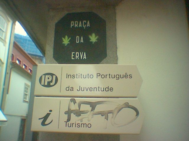 [erva.jpg]