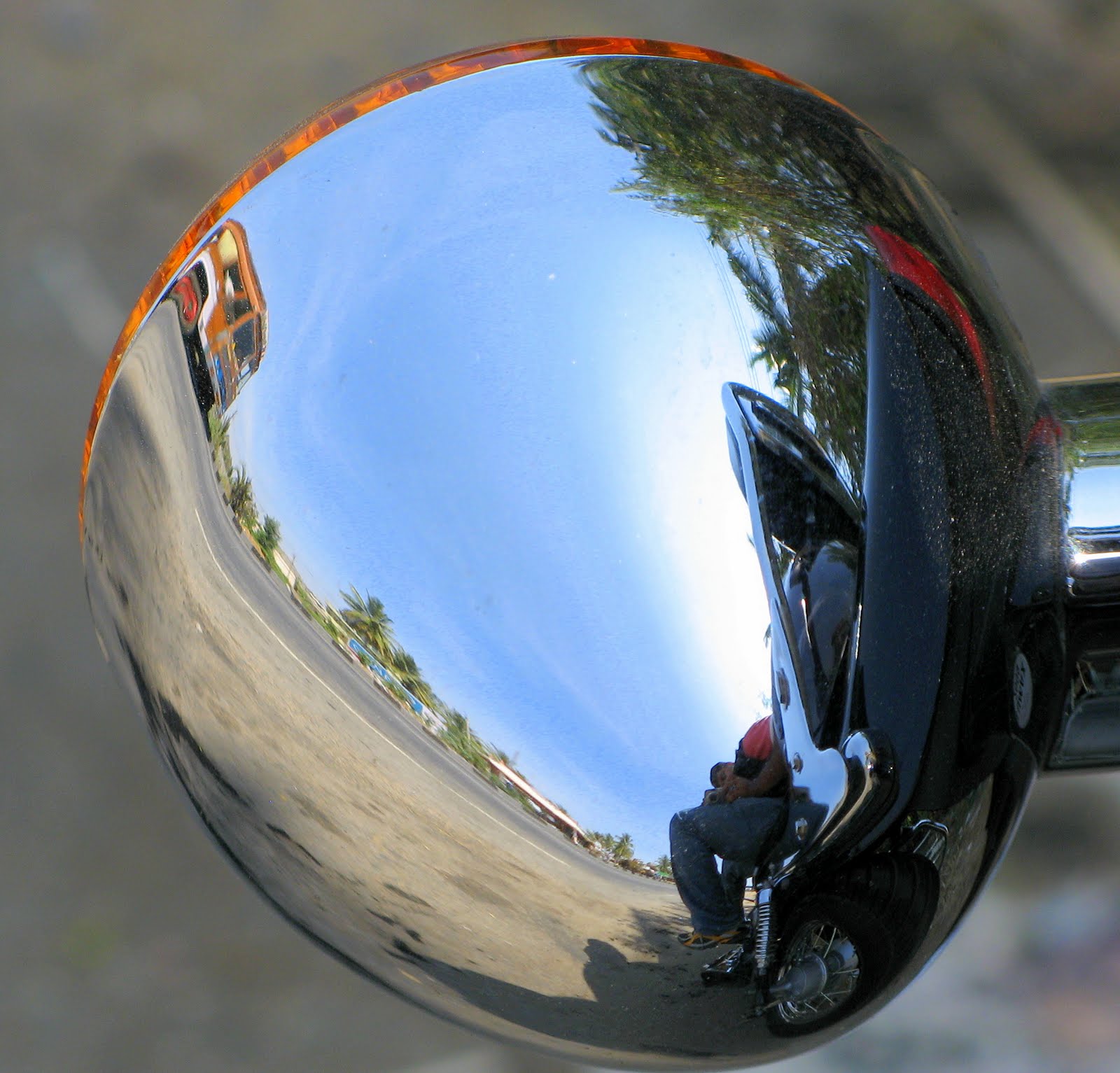 [IMG_8995-2.JPG]