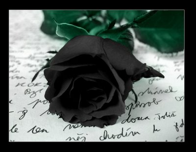 Imagenes De Rosas Con Texto}