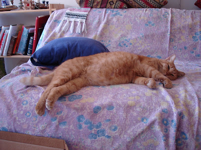 Lady sleeps it off