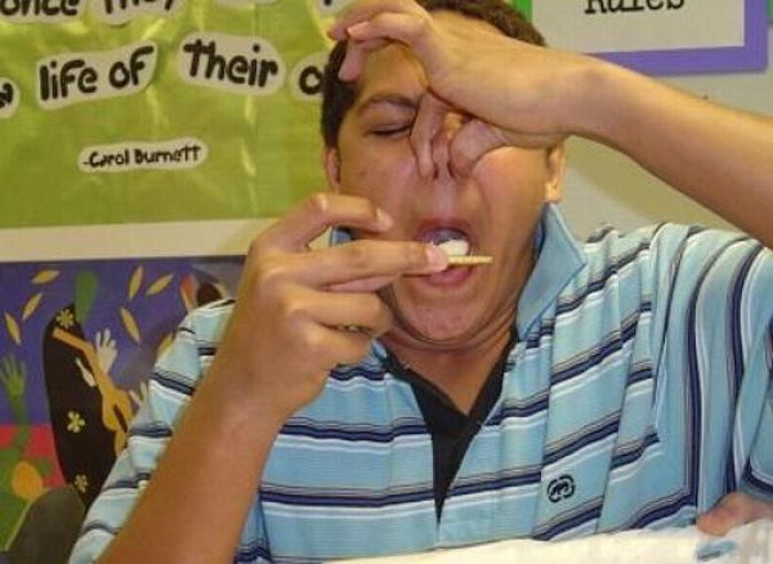 52 funny cat memes that prove cats still rule the internet Fun book Online Blog: June 2010