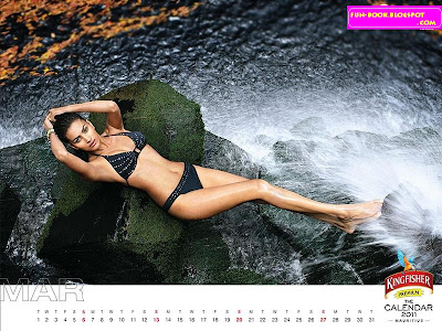 Kingfisher+calendar+2011+ 2011 Calendar Zoozoo. Kingfisher+calendar+2011+