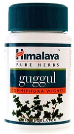Guggul herb for cholesterol control