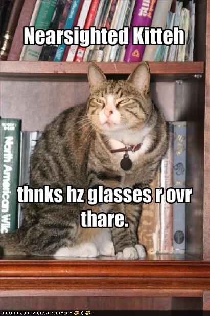 [funny-pictures-nearsighted-cat-looks-for-his-glasses.jpg]