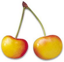 Yellow cherries