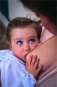 [toddler1.jpg]