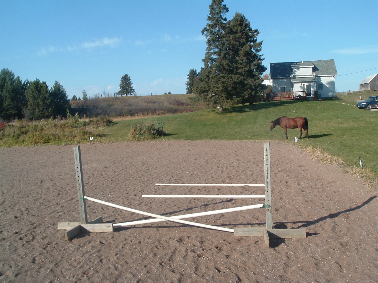 Trotting Down the Trail Jump!