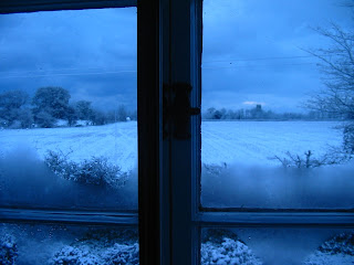 Cold weather, hot climate - view from my window