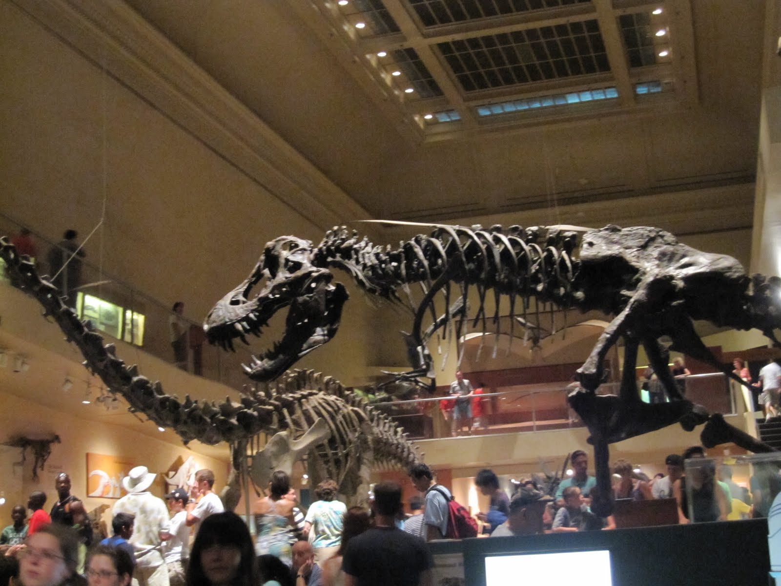Learning Journeys in US for Curriculum Design: Smithsonian Museum of