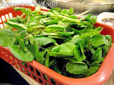 fresh watercress at KingOne Rotary Hot Pot