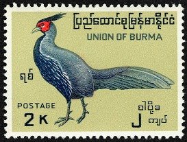 [007-Birds+1+2+K-2.jpg]