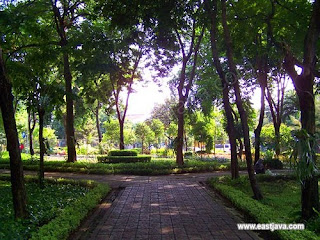 kebun bibit surabaya