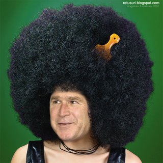 afro-bush.jpg