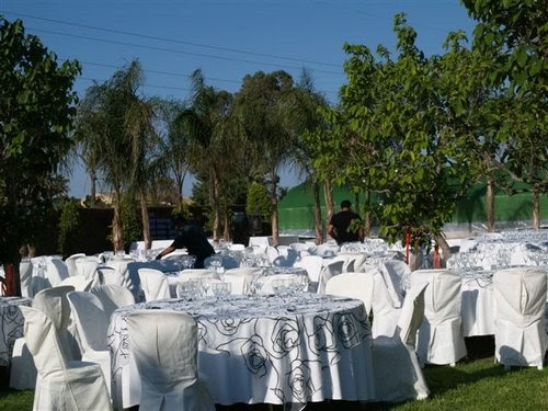 Decorar el jardín para ocasiones muy especiales : Plantas Flores y Jardin