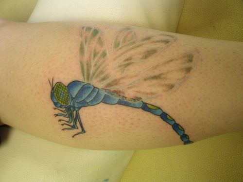 Dragonfly Tattoo Ideas. These amazing pieces of art look great almost 