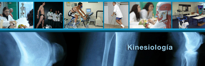 Kinesiología UST Viña