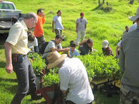 Volunteer tourists help restore native Hawaiian species to Mount Haleakala, Maui, Hawaii