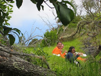 Volunteers on Maui Hawaii