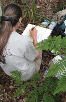 Connie Adams painting in a Maui forest.