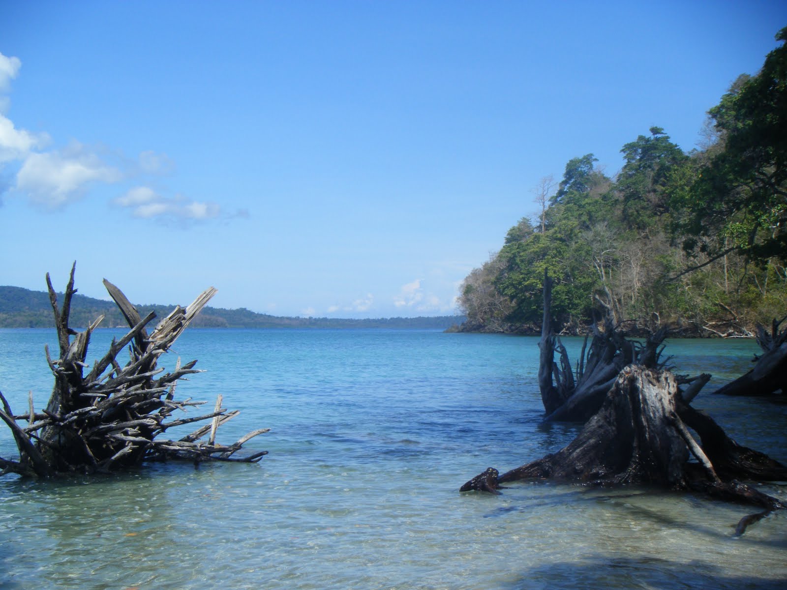 Beaches Of Andaman