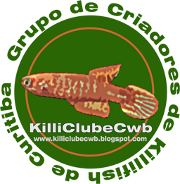 Killi Clube Curitiba