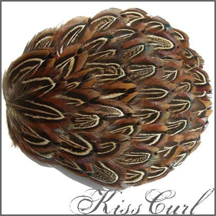 Kiss%2BCurl%2BCopper%2BPheasant%2BFeather%2BFascinator.jpg