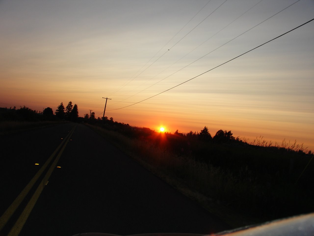 [DSC05980.JPG]