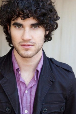 Glee+darren+criss+gay