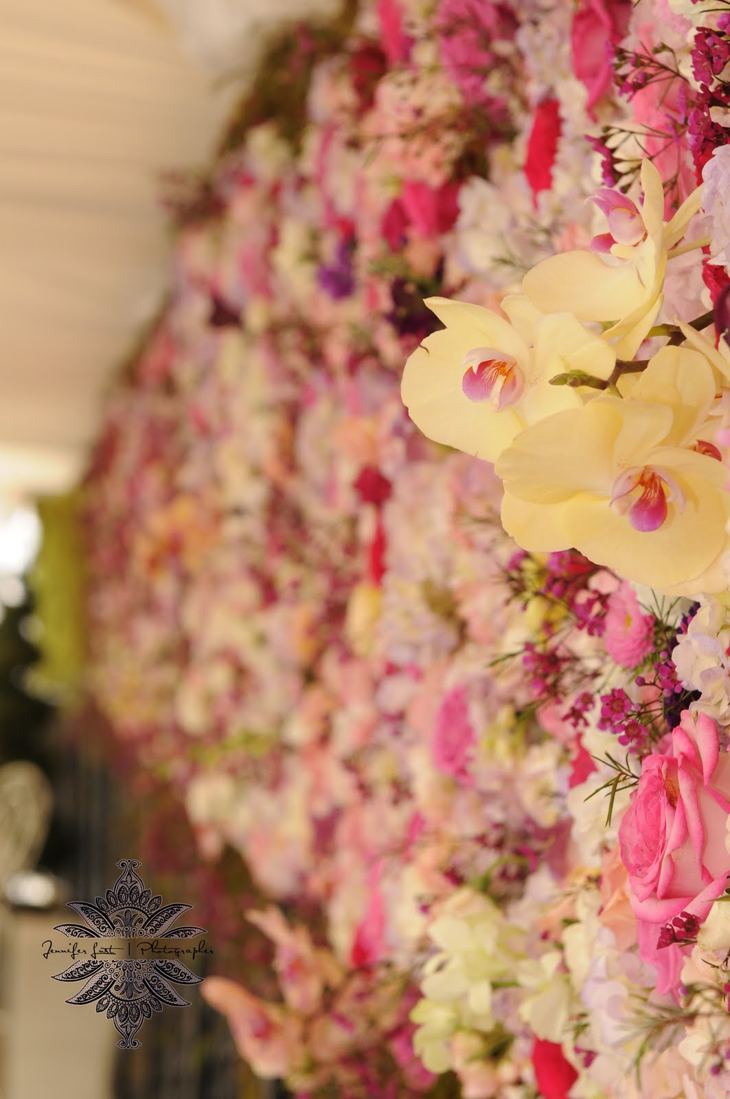 '' Wall of flowers" at the Hay Adams hotel washington dc .we use d over