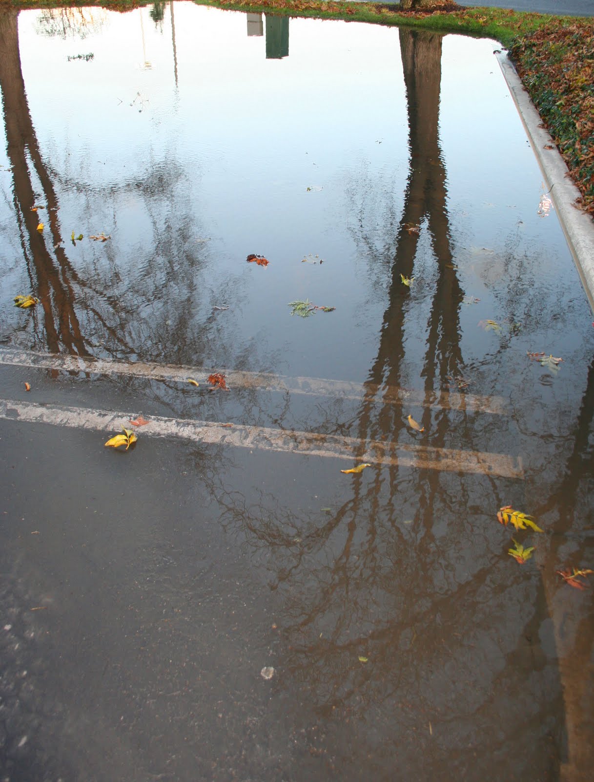 [flooded+parkinglotcrop.jpg]