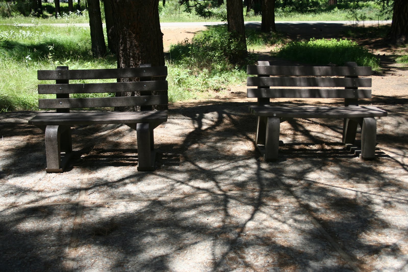 [bustop+benches.jpg]